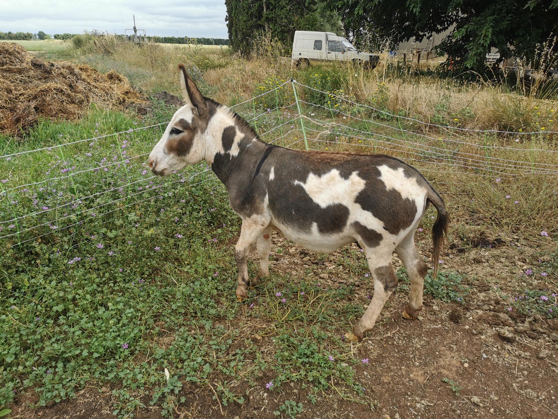 Jumemji à 3 ans.