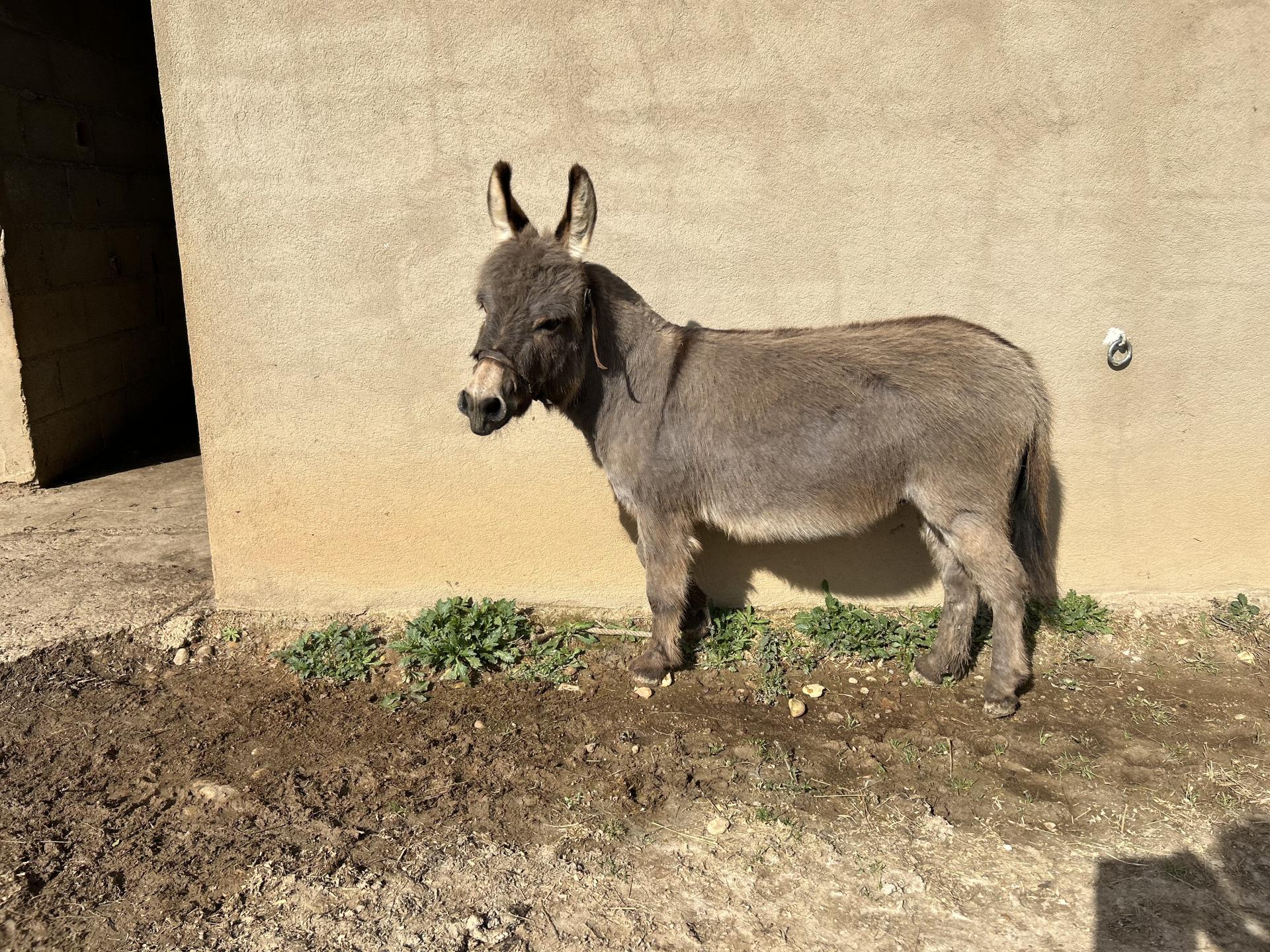 Kirikou à 4ans.